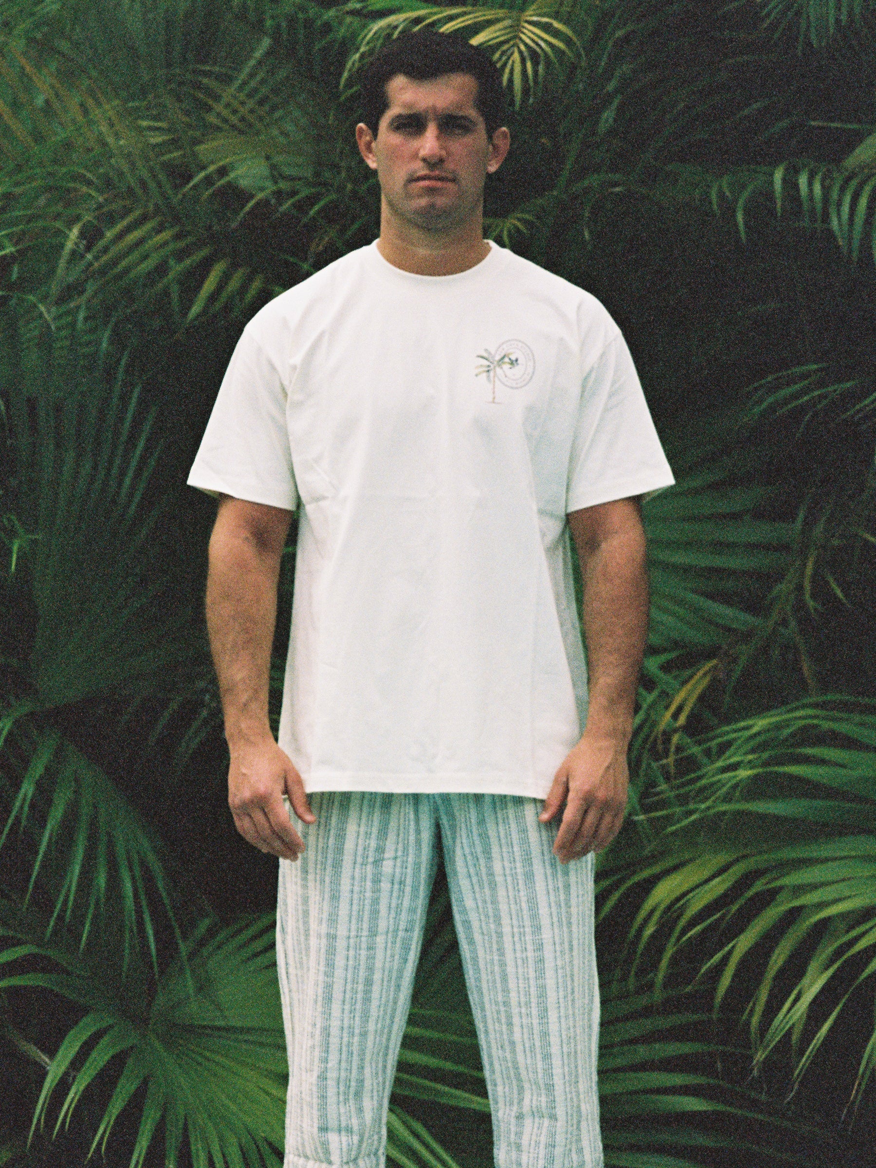Palm Studio T-Shirt – Resort Wear & Travel T-Shirt